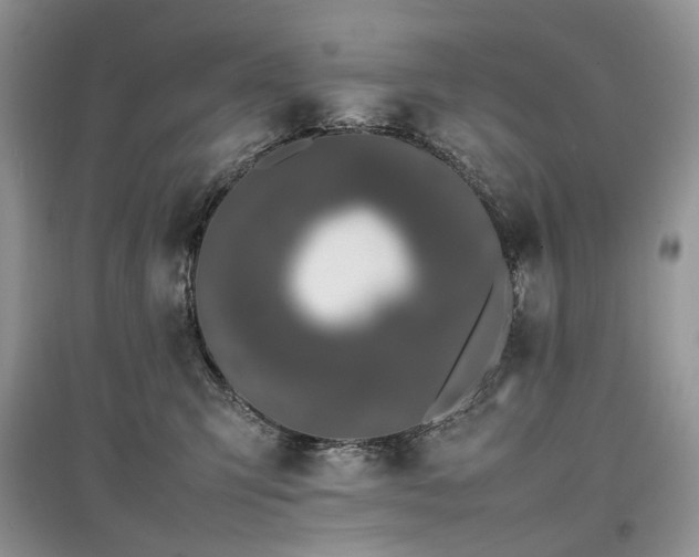 X0000097640423200803071557