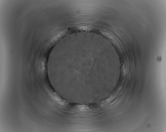 X0000097640424200803071557