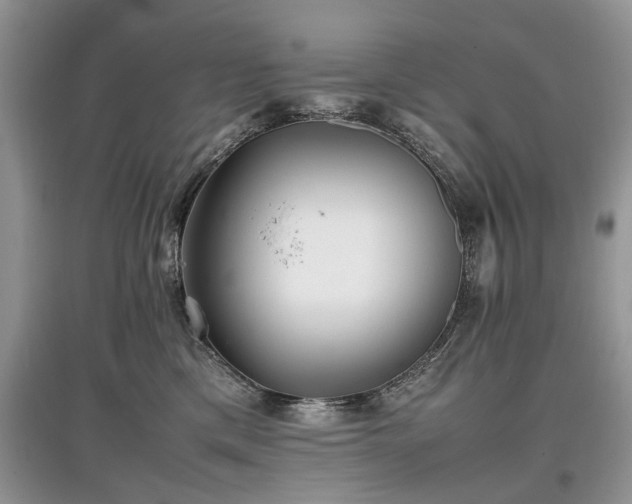 X0000097640425200803071557