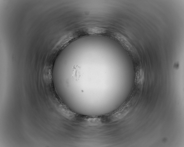 X0000097640426200803071557