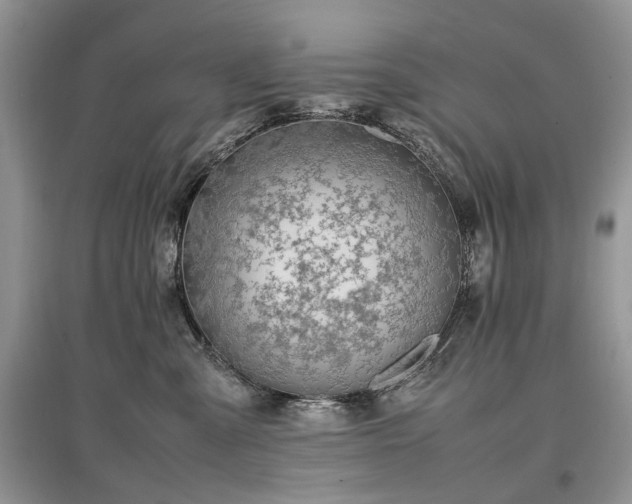 X0000097640427200803071557