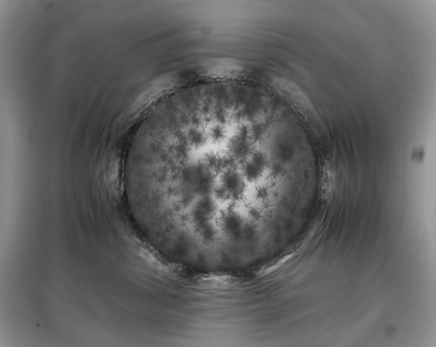 X0000097640428200803071557