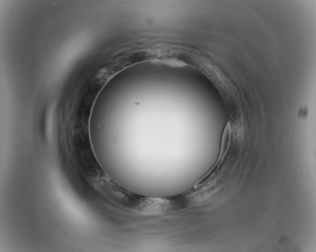 X0000097640429200803071557