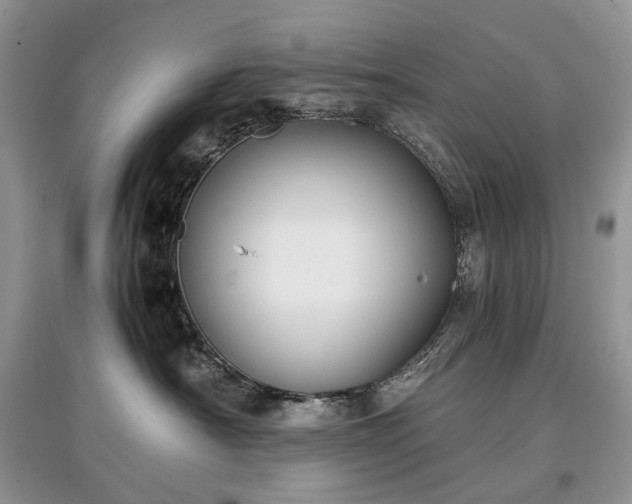 X0000097640430200803071557