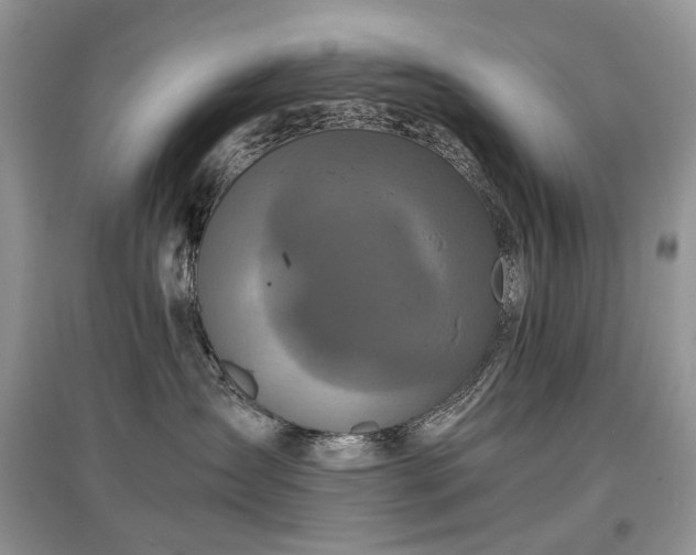 X0000097640431200803071557