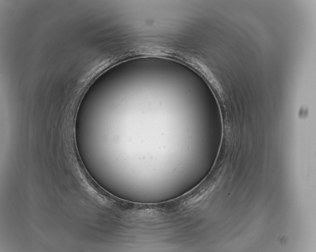 X0000097640433200803071556