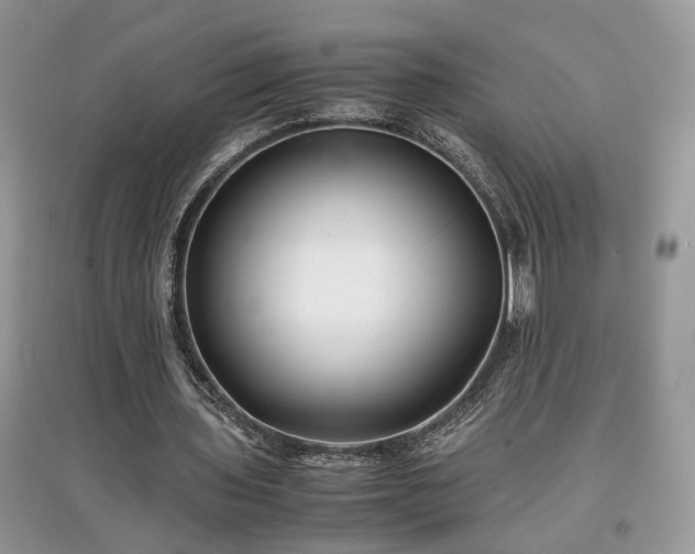 X0000097640435200803071556