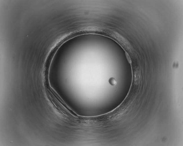 X0000097640436200803071556