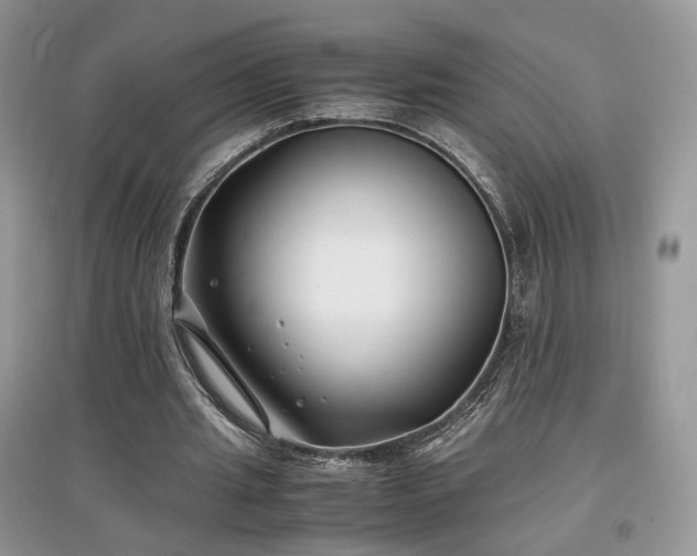 X0000097640437200803071556