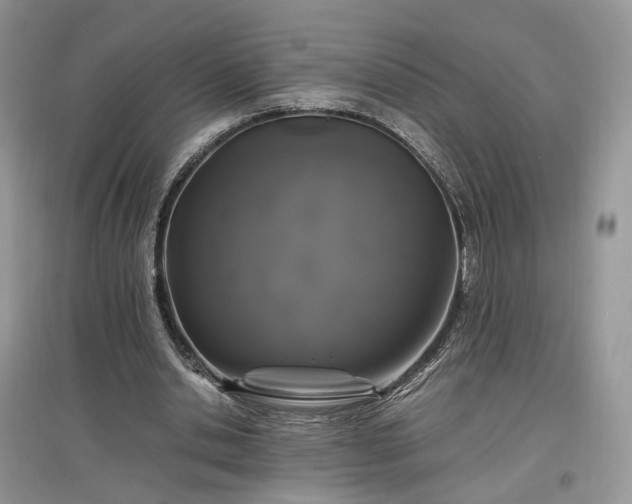 X0000097640438200803071556