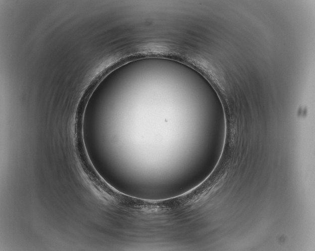 X0000097640439200803071556