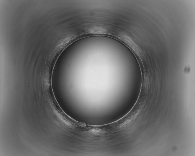 X0000097640441200803071556