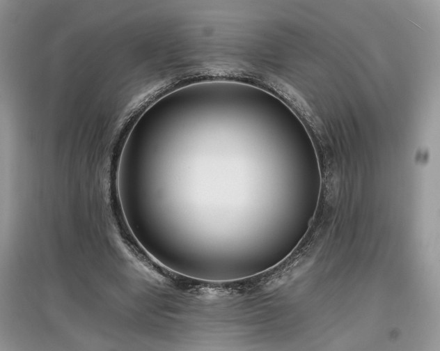 X0000097640442200803071556