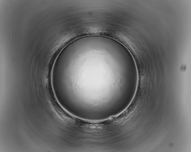 X0000097640443200803071556