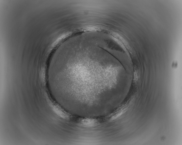 X0000097640444200803071556