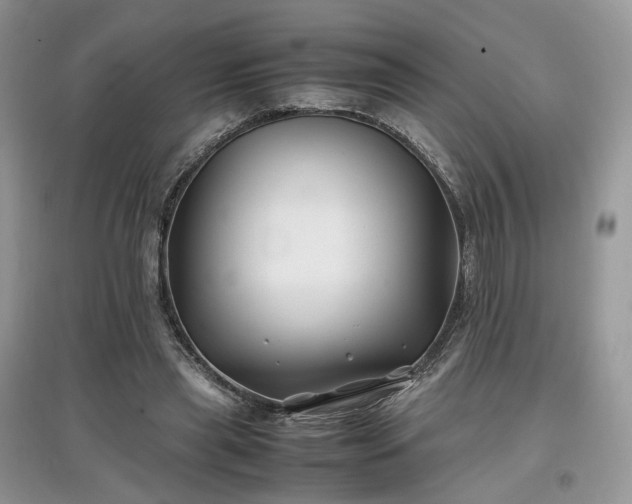 X0000097640445200803071556