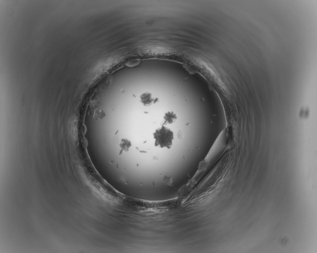 X0000097640447200803071556