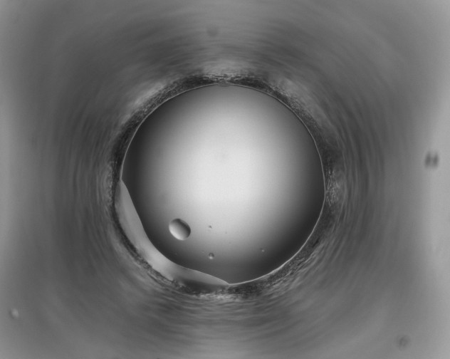 X0000097640448200803071556