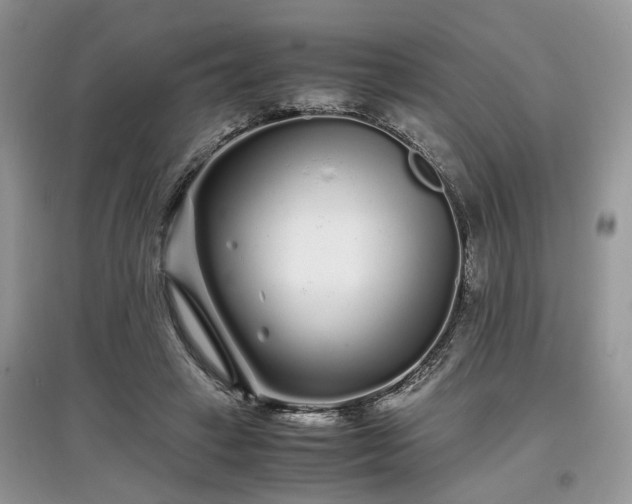 X0000097640449200803071556