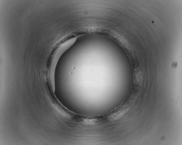 X0000097640450200803071556