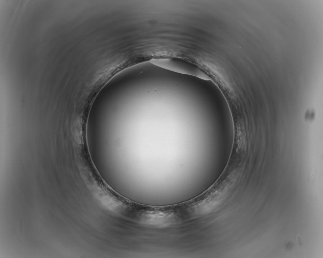 X0000097640453200803071556