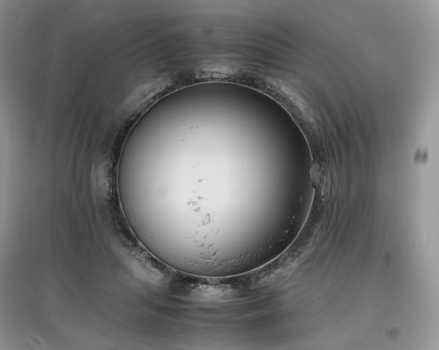 X0000097640455200803071557