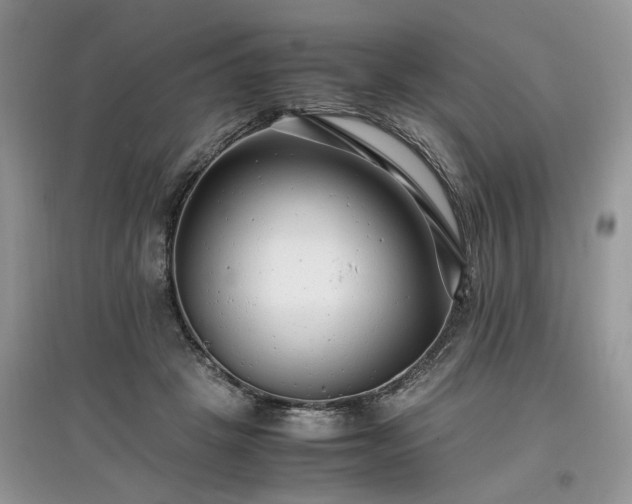 X0000097640457200803071557