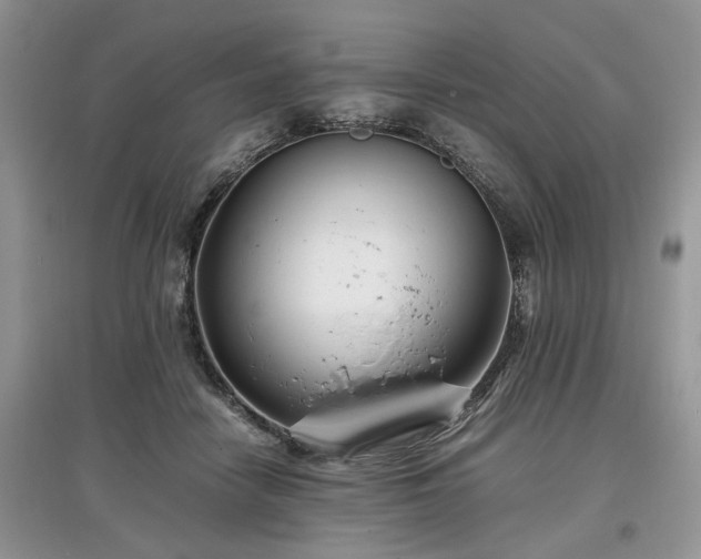 X0000097640458200803071557