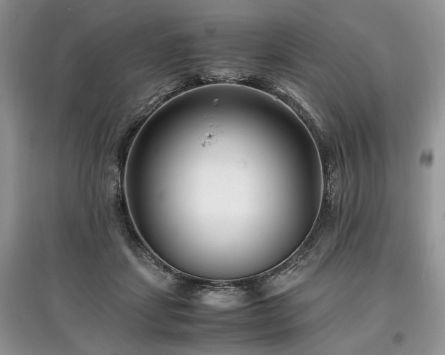 X0000097640459200803071557