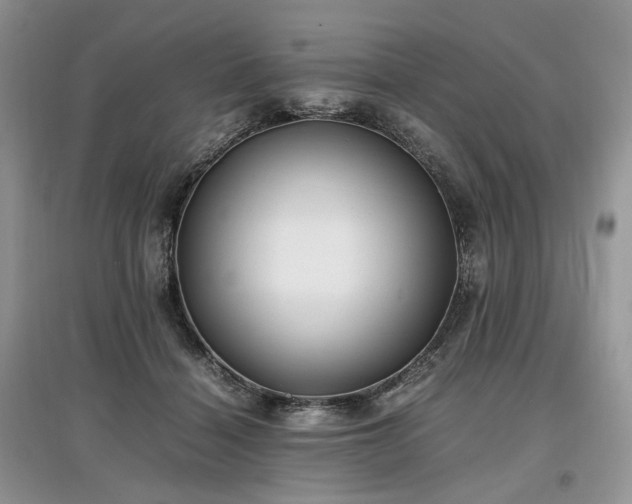 X0000097640460200803071557