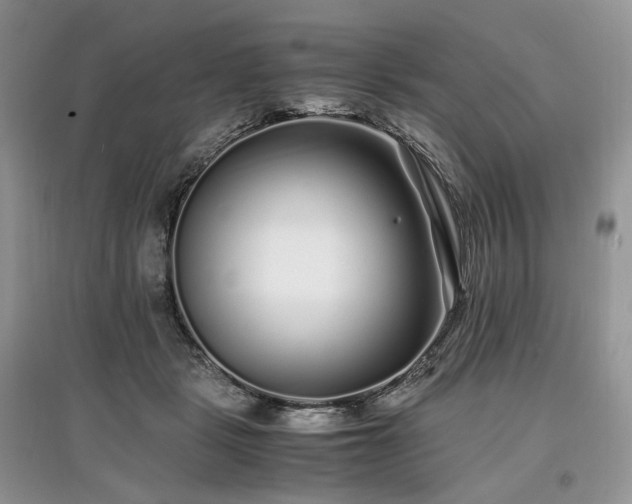 X0000097640461200803071557