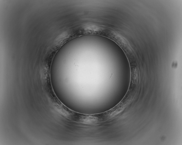 X0000097640463200803071557