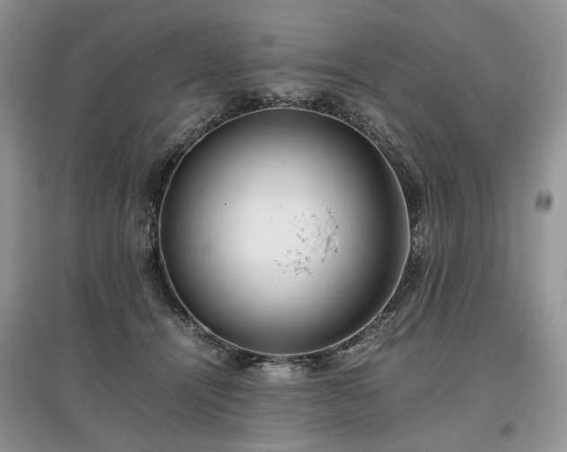 X0000097640464200803071557