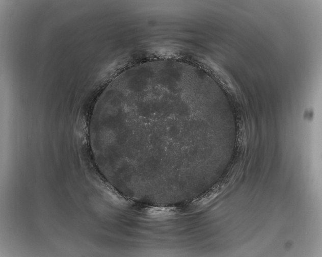 X0000097640465200803071557