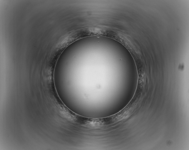 X0000097640466200803071557