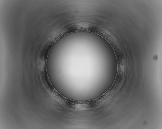 X0000097640468200803071557