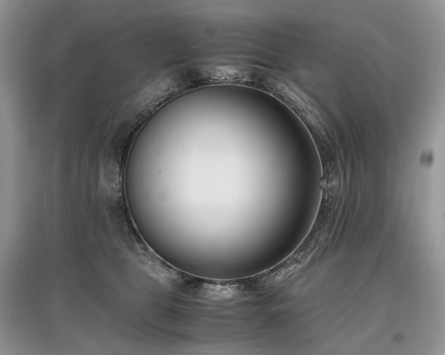 X0000097640469200803071557