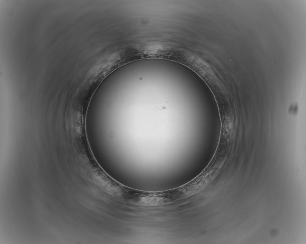 X0000097640470200803071557