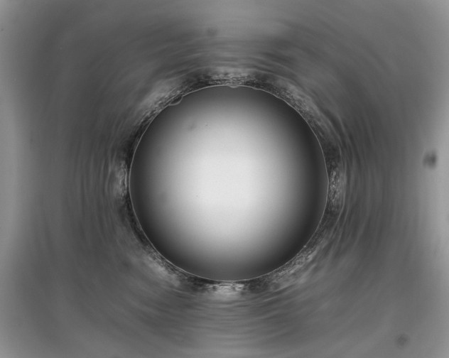 X0000097640474200803071557