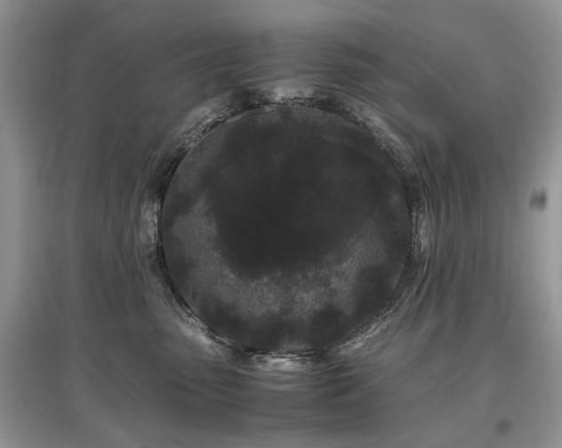 X0000097640475200803071557