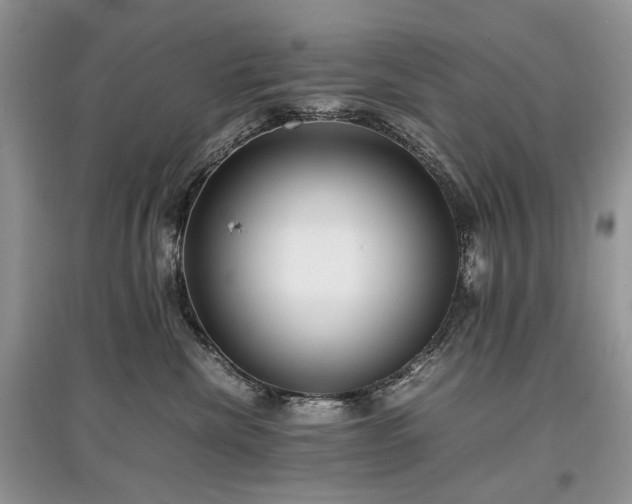 X0000097640476200803071557