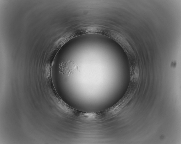 X0000097640478200803071557