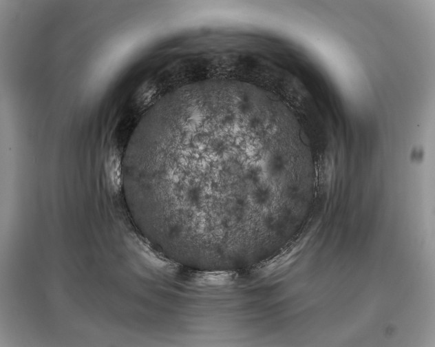 X0000097640479200803071557