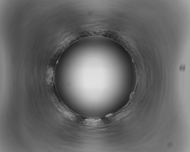 X0000097640480200803071557