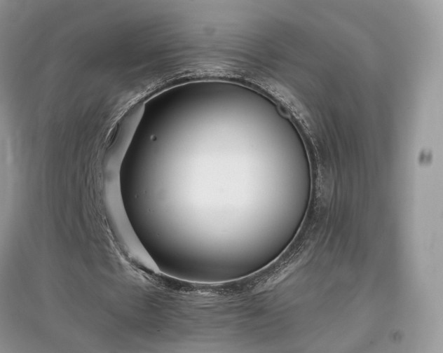 X0000097640481200803071556