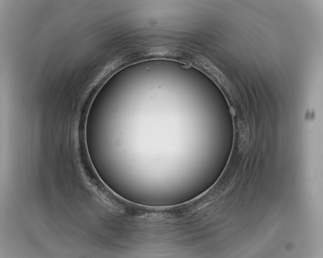 X0000097640482200803071556