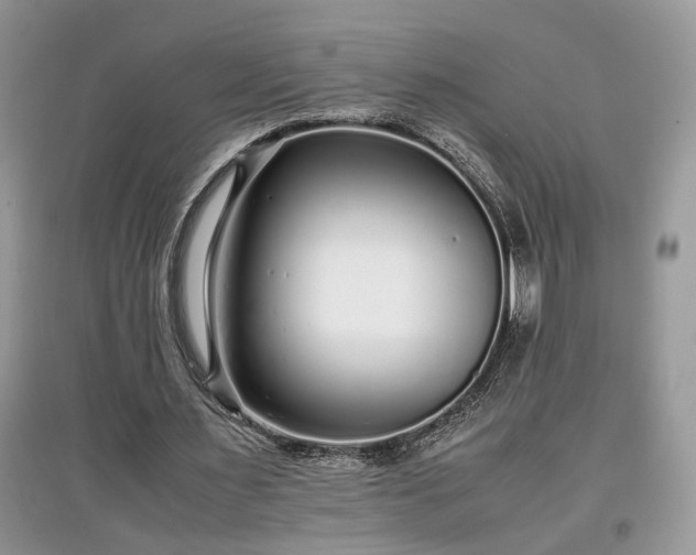 X0000097640483200803071556