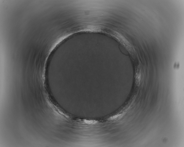 X0000097640484200803071556