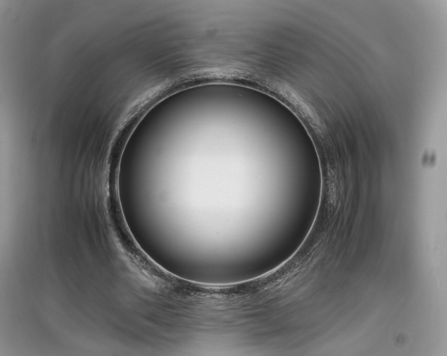 X0000097640486200803071556