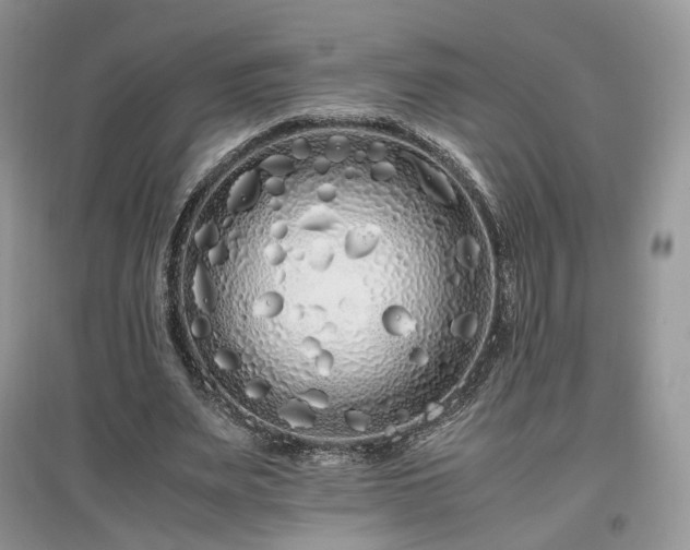 X0000097640487200803071556